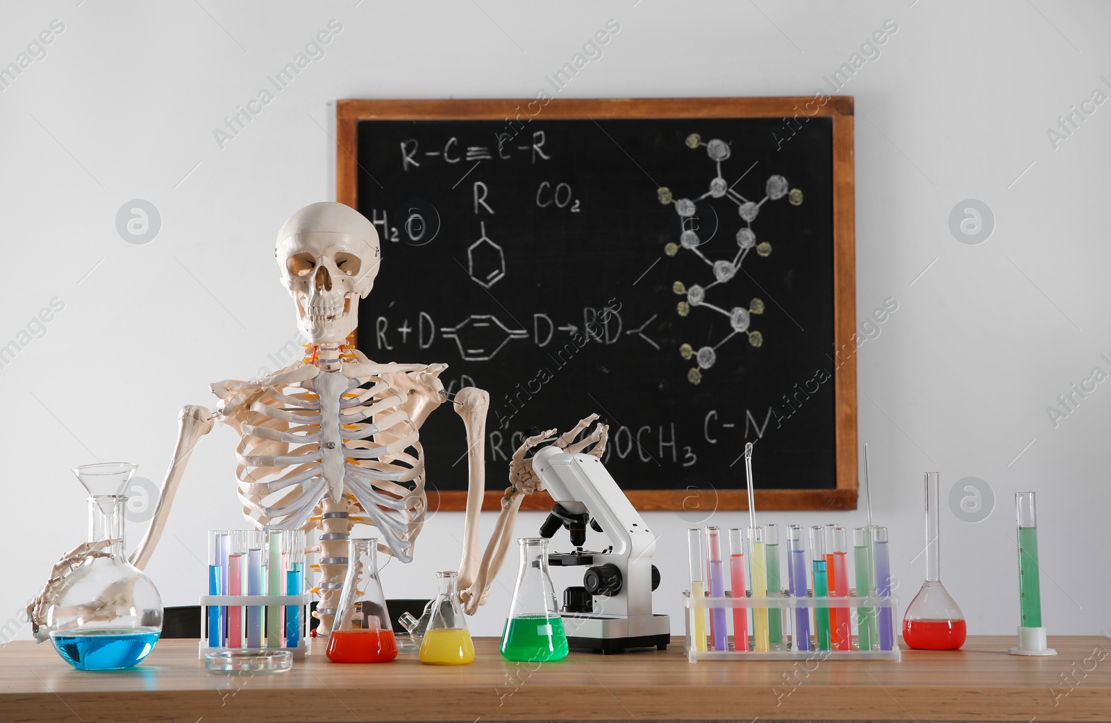 Photo of Skeleton and different chemistry glassware in classroom