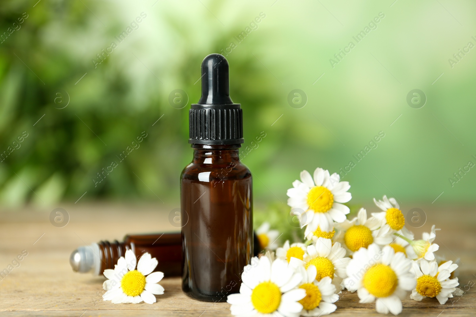 Photo of Bottles of essential oil and chamomiles on wooden table