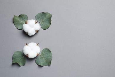 Photo of Cotton flowers and eucalyptus leaves on grey background, flat lay. Space for text