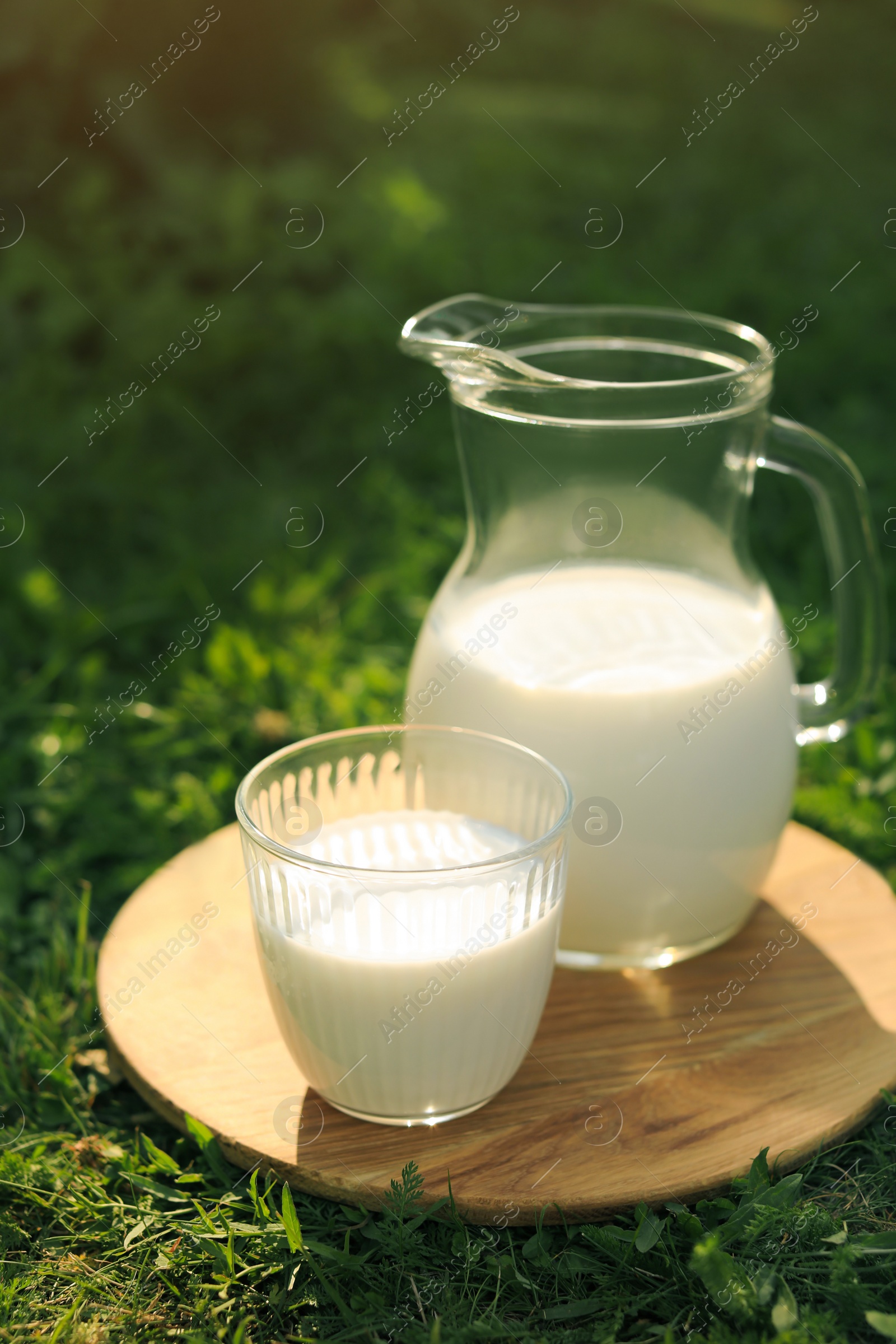 Photo of Jug and glass of tasty fresh milk on green grass outdoors