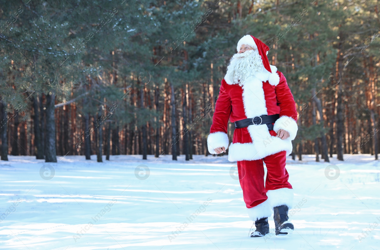 Photo of Happy Authentic Santa Claus walking outdoors. Space for text