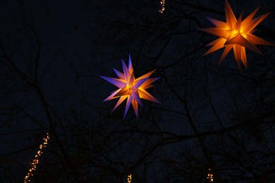 Photo of Beautiful Christmas lights hanging from trees in evening, low angle view