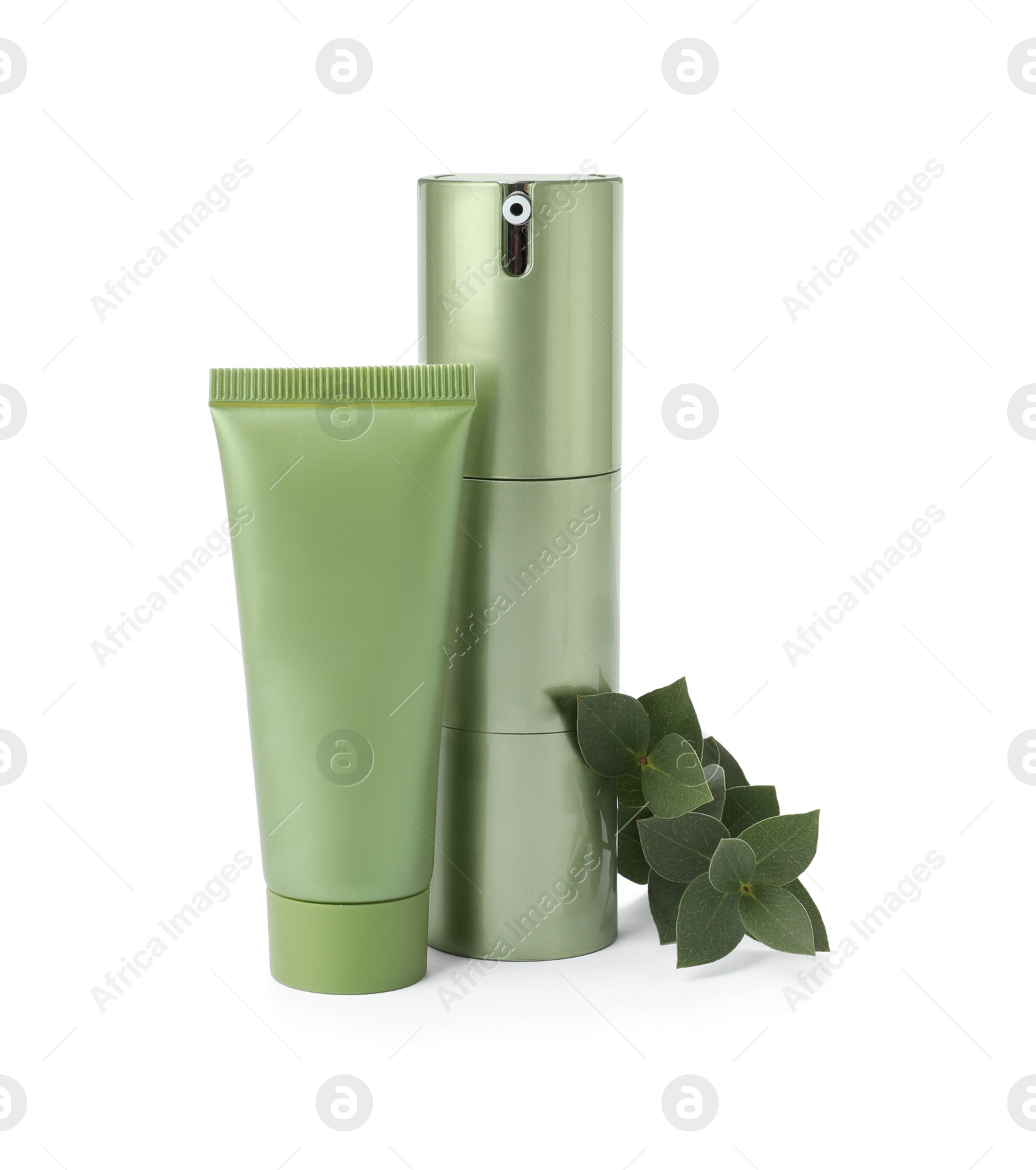 Photo of Cosmetic products and green leaves isolated on white