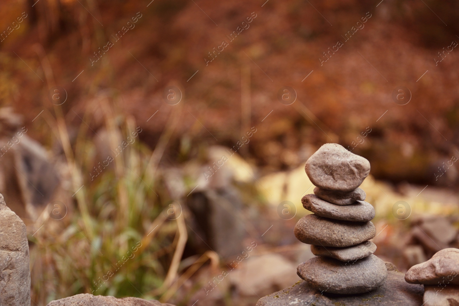 Photo of Stack of stones in forest. Space for text