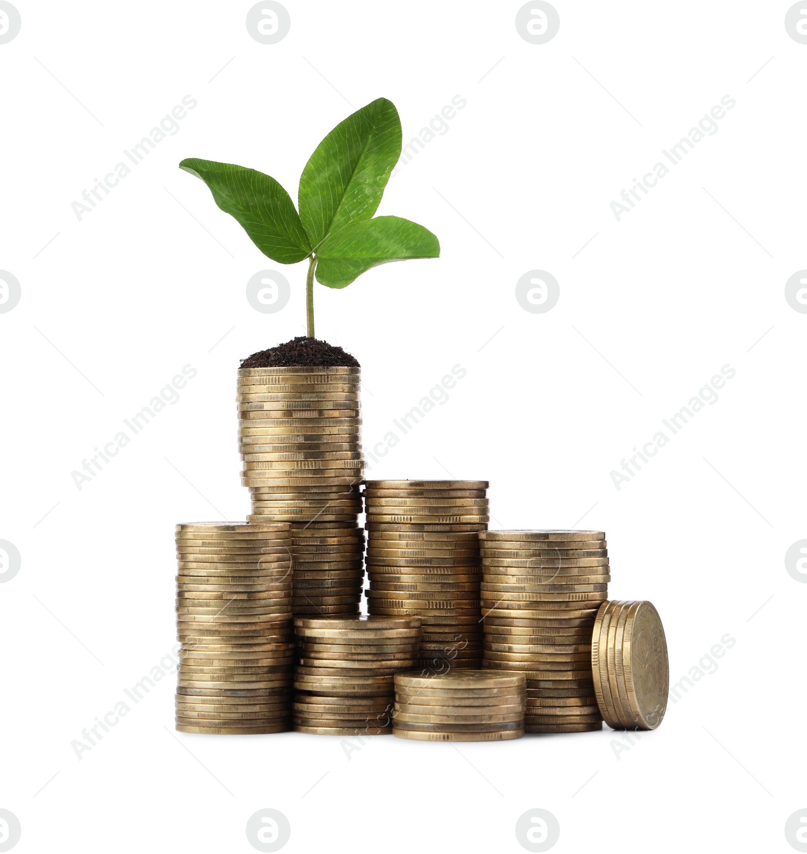 Photo of Stacks of coins with green sprout isolated on white. Investment concept