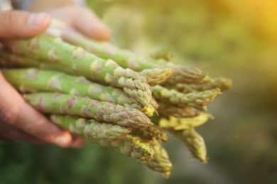 Photo of Man holding fresh raw asparagus outdoors, closeup