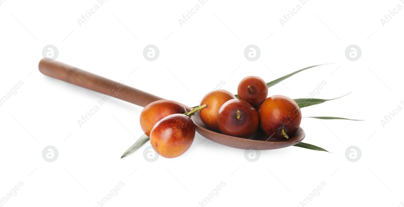 Photo of Fresh ripe oil palm fruits with leaf isolated on white