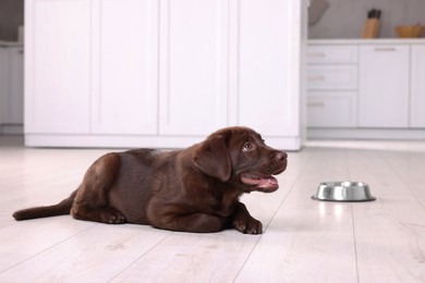 Photo of Cute chocolate Labrador Retriever puppy near feeding bowl on floor indoors. Lovely pet