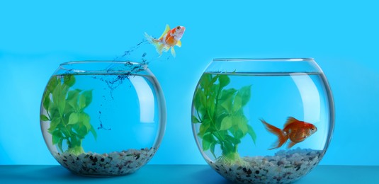 Image of Goldfish jumping from glass fish bowl into another one on light blue background