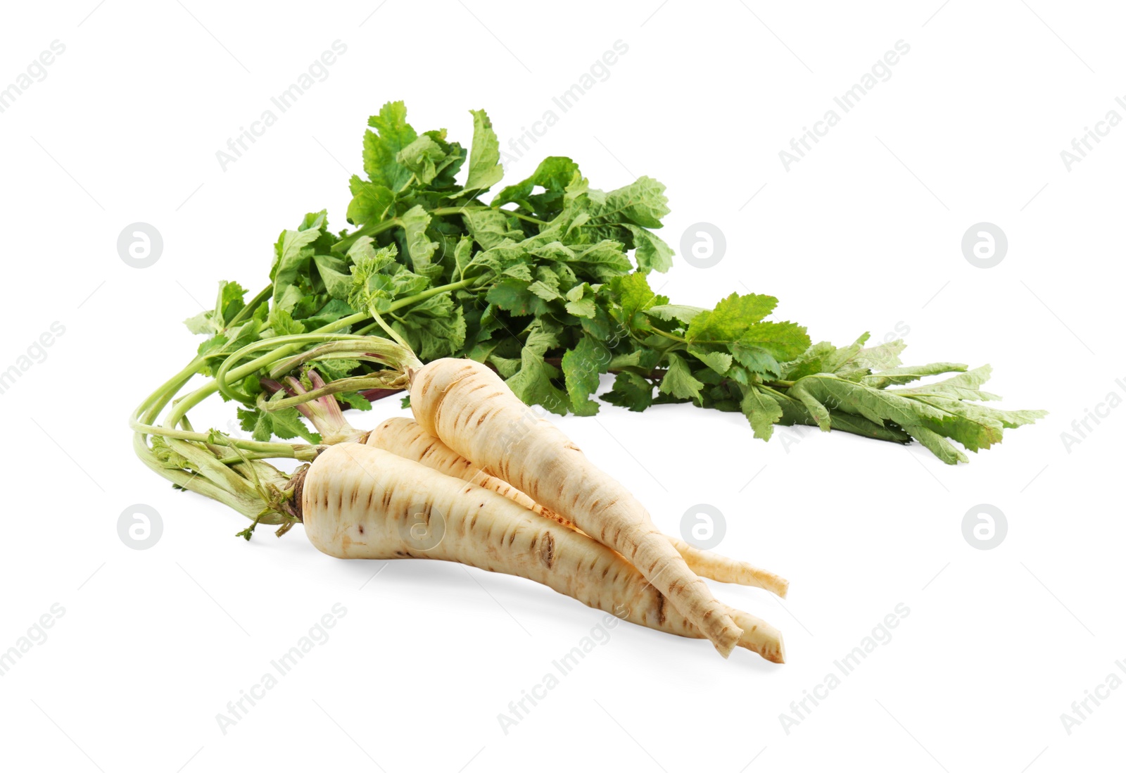 Photo of Tasty fresh ripe parsnips on white background