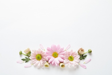 Photo of Beautiful chamomile flowers on white background, flat lay with space for text