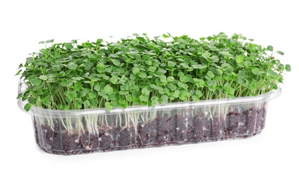 Fresh organic microgreen in plastic container on white background