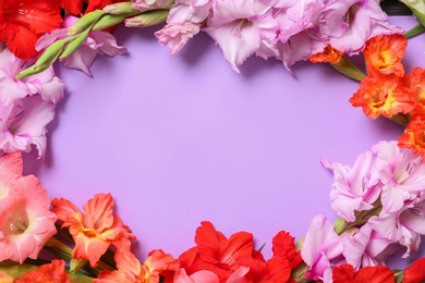 Photo of Flat lay composition with beautiful gladiolus flowers on violet background. Space for text