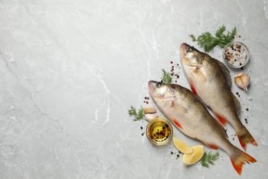 Photo of Fresh raw perches and ingredients on light grey 
 marble table, flat lay with space for text. River fish