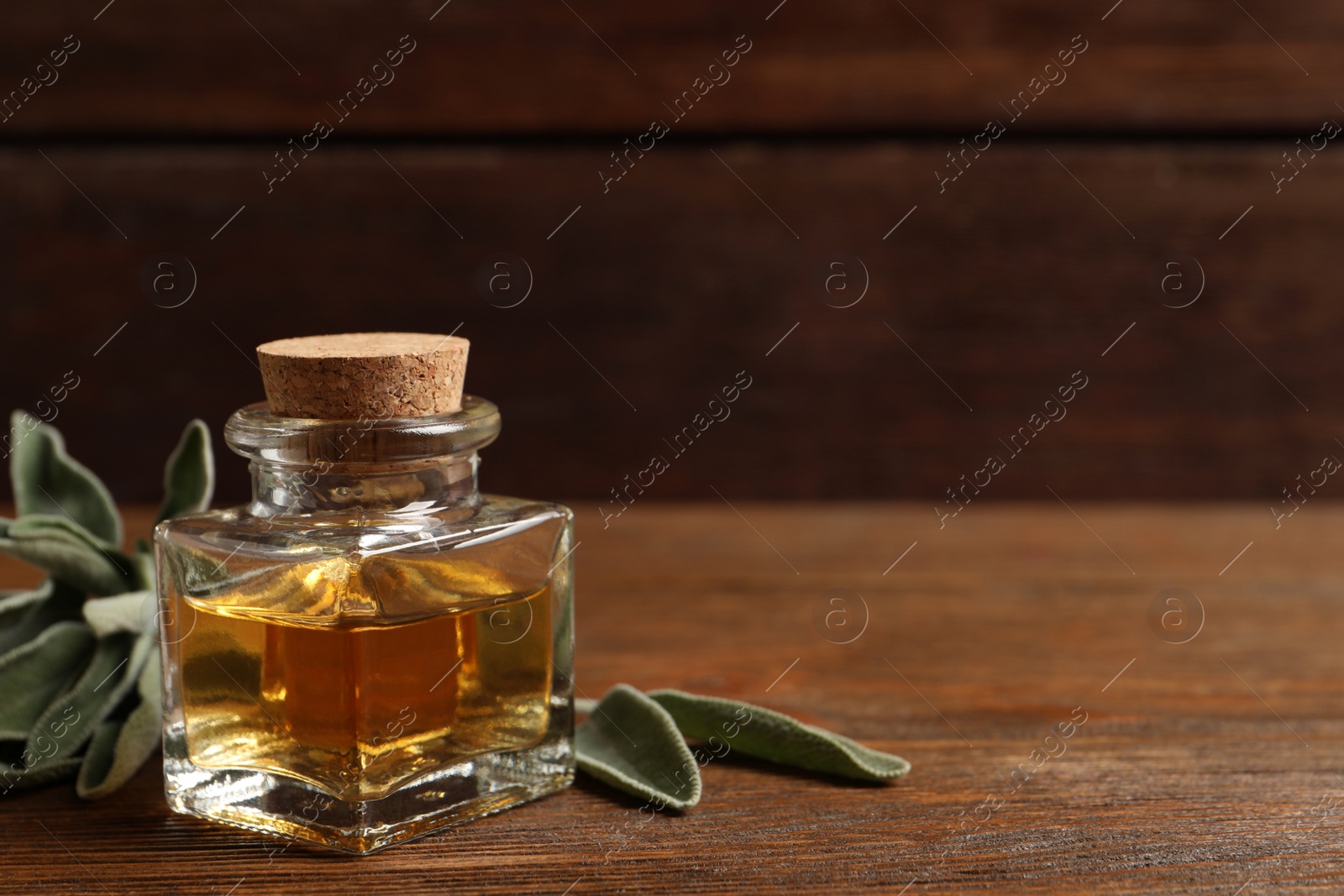 Photo of Bottle of essential sage oil and plant twig on wooden table. Space for text