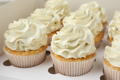 Tasty cupcakes with vanilla cream in box, closeup