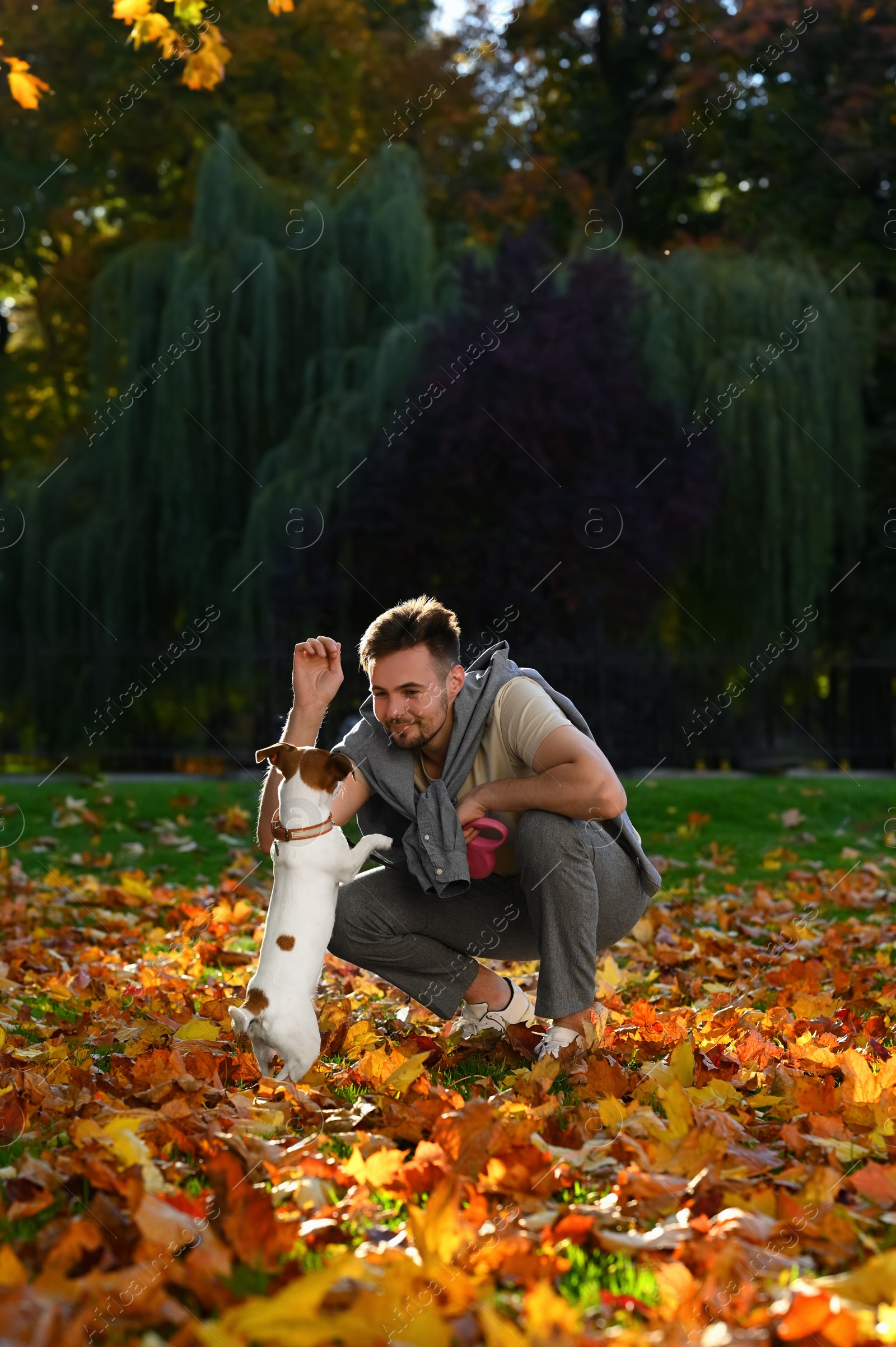 Photo of Man with adorable Jack Russell Terrier in autumn park. Dog walking