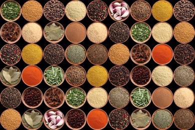 Image of Collection of different aromatic spices and herbs on black background, flat lay