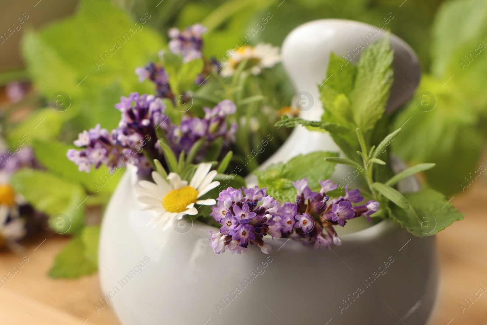 Photo of Mortar with fresh lavender, chamomile flowers, herbs and pestle on blurred background, closeup