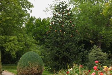 Photo of Beautiful view of garden with green plants