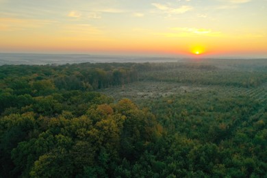 Photo of Aerial view of beautiful green autumn forest at sunset