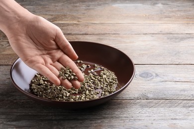 Photo of Woman with gold nuggets at wooden table, closeup. Space for text