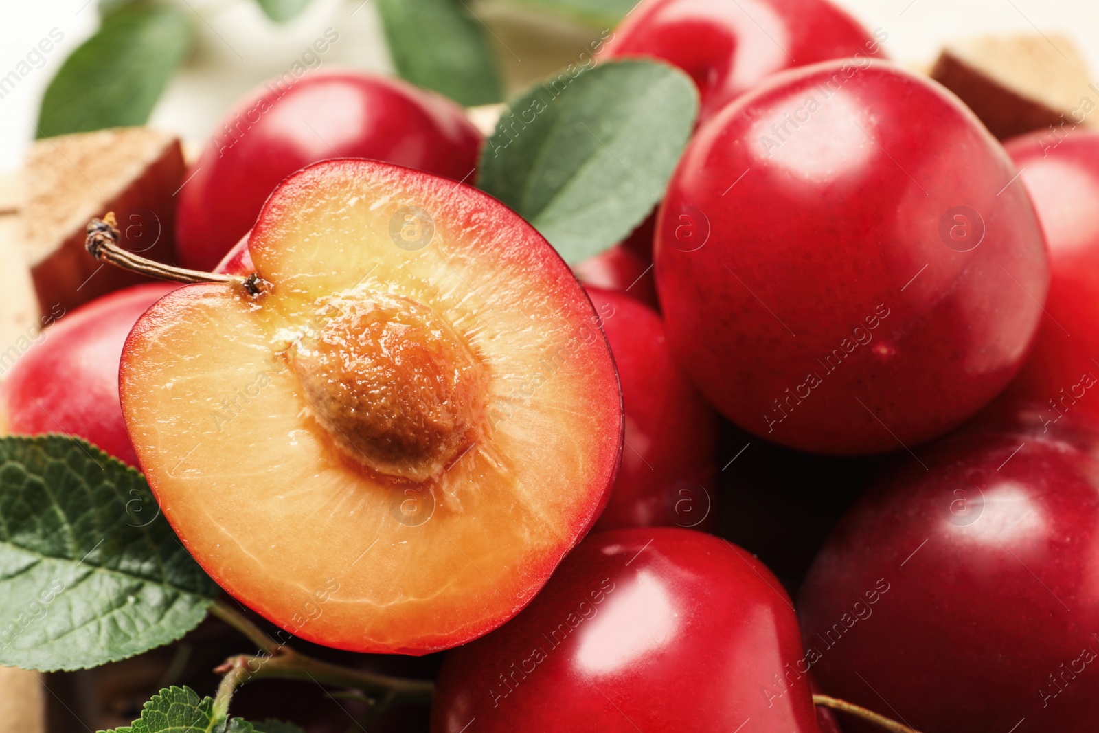 Photo of Delicious ripe cherry plums with leaves, closeup