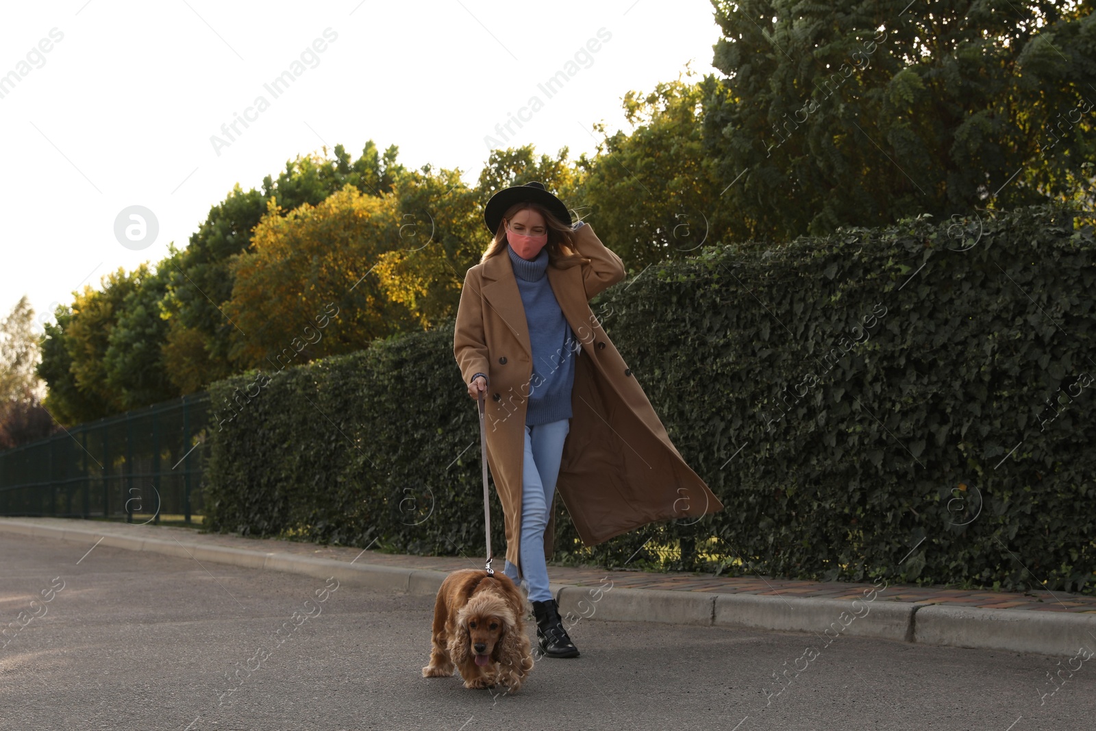 Photo of Woman in protective mask with English Cocker Spaniel outdoors. Walking dog during COVID-19 pandemic