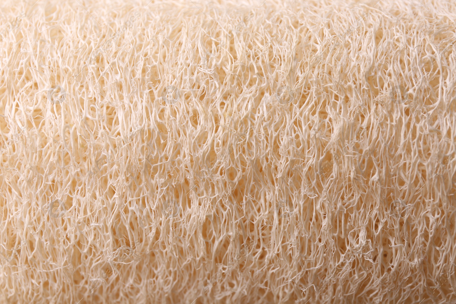 Photo of Loofah sponge as background, top view. Personal hygiene product