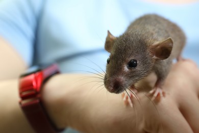 Photo of Woman holding cute grey rat, closeup view