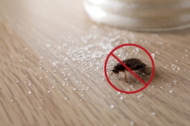 Image of Cockroach with red prohibition sign on wooden table. Pest control