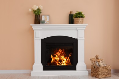 Photo of Stylish fireplace near potted plants and firewood indoors