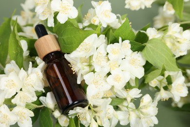 Photo of Essential oil in bottle among beautiful jasmine flowers on pale green background, closeup