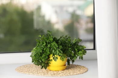 Photo of Aromatic parsley growing in yellow pot on window sill