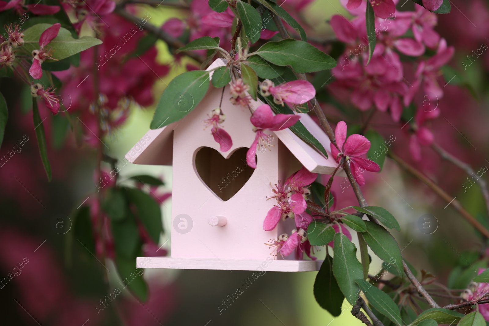 Photo of Wooden bird house on blossoming tree outdoors