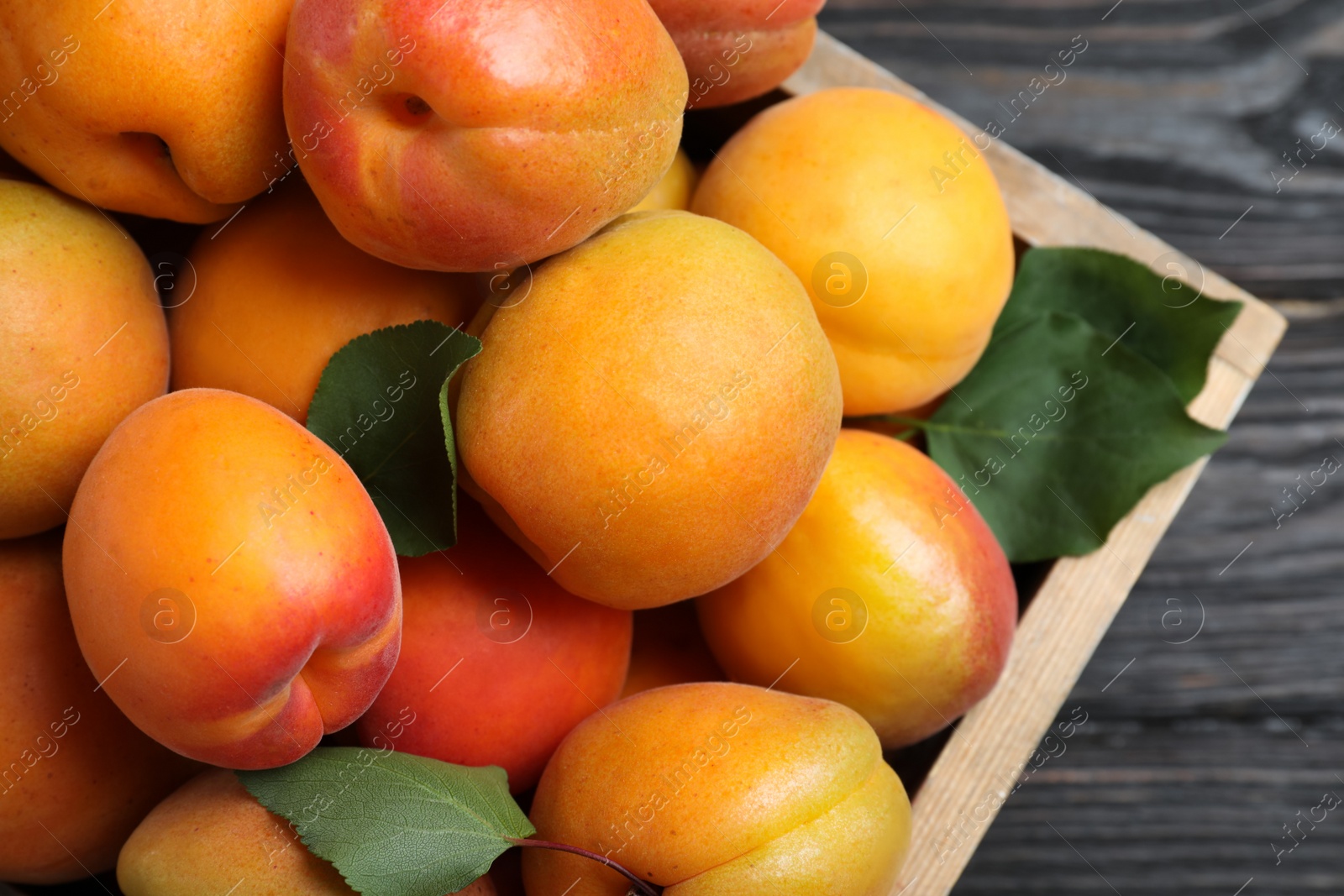 Photo of Many fresh ripe apricots in wooden crate on table, closeup