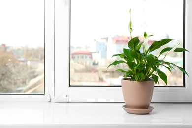 Beautiful Peace lily plant in pot on windowsill at home, space for text