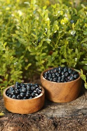 Photo of Bowls of delicious bilberries on stump outdoors