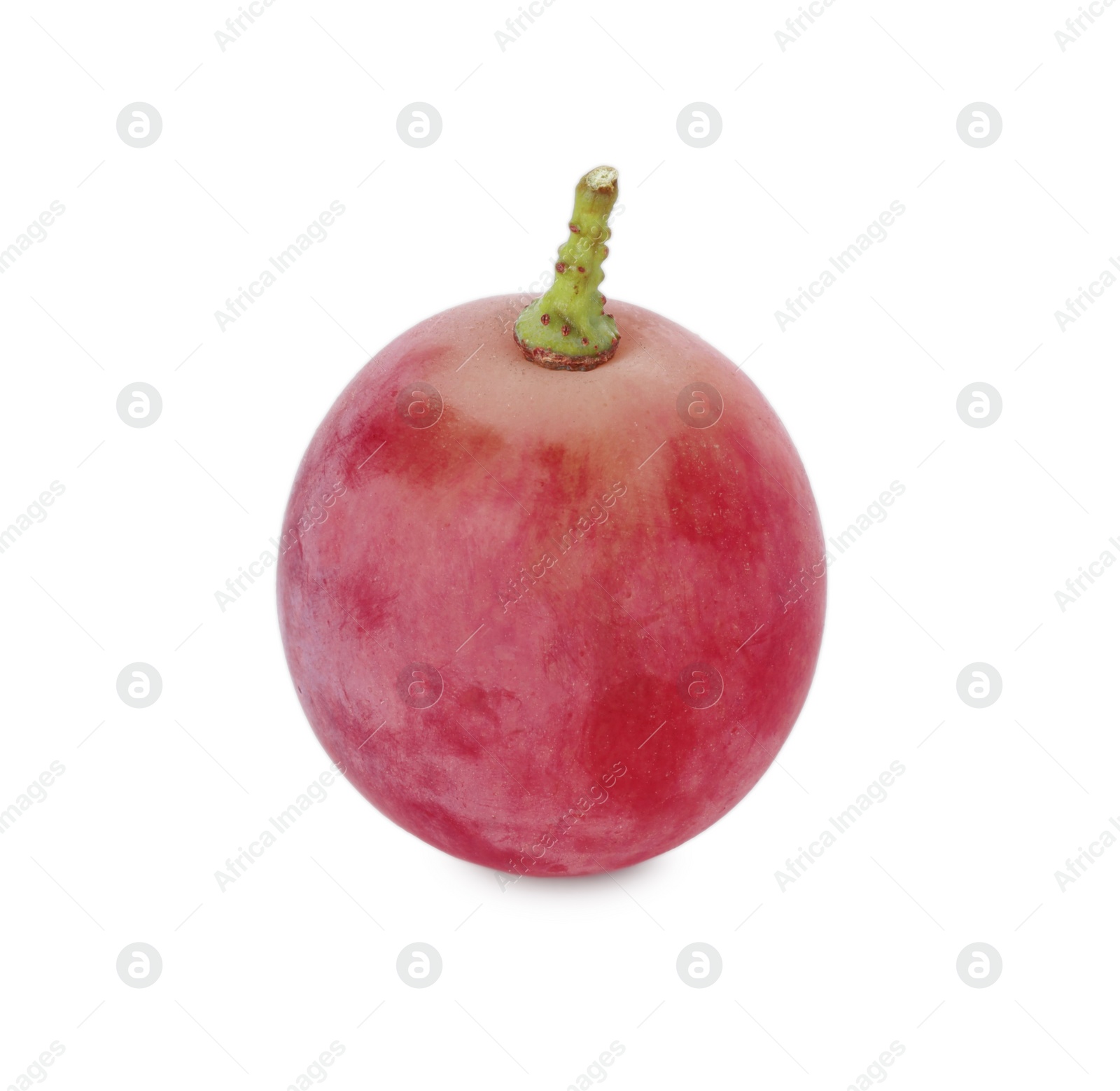 Photo of One ripe red grape isolated on white