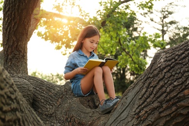 Photo of Cute little girl reading book on tree in park