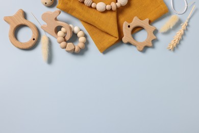 Photo of Different baby accessories and dry spikes on light blue background, flat lay. Space for text