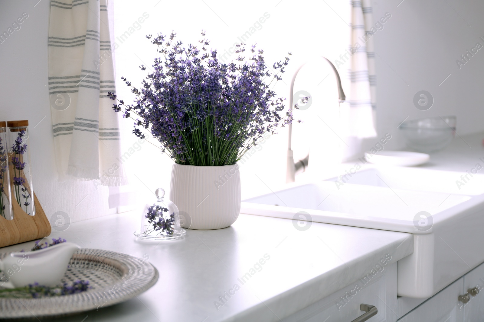 Photo of Beautiful lavender flowers on countertop near sink in kitchen