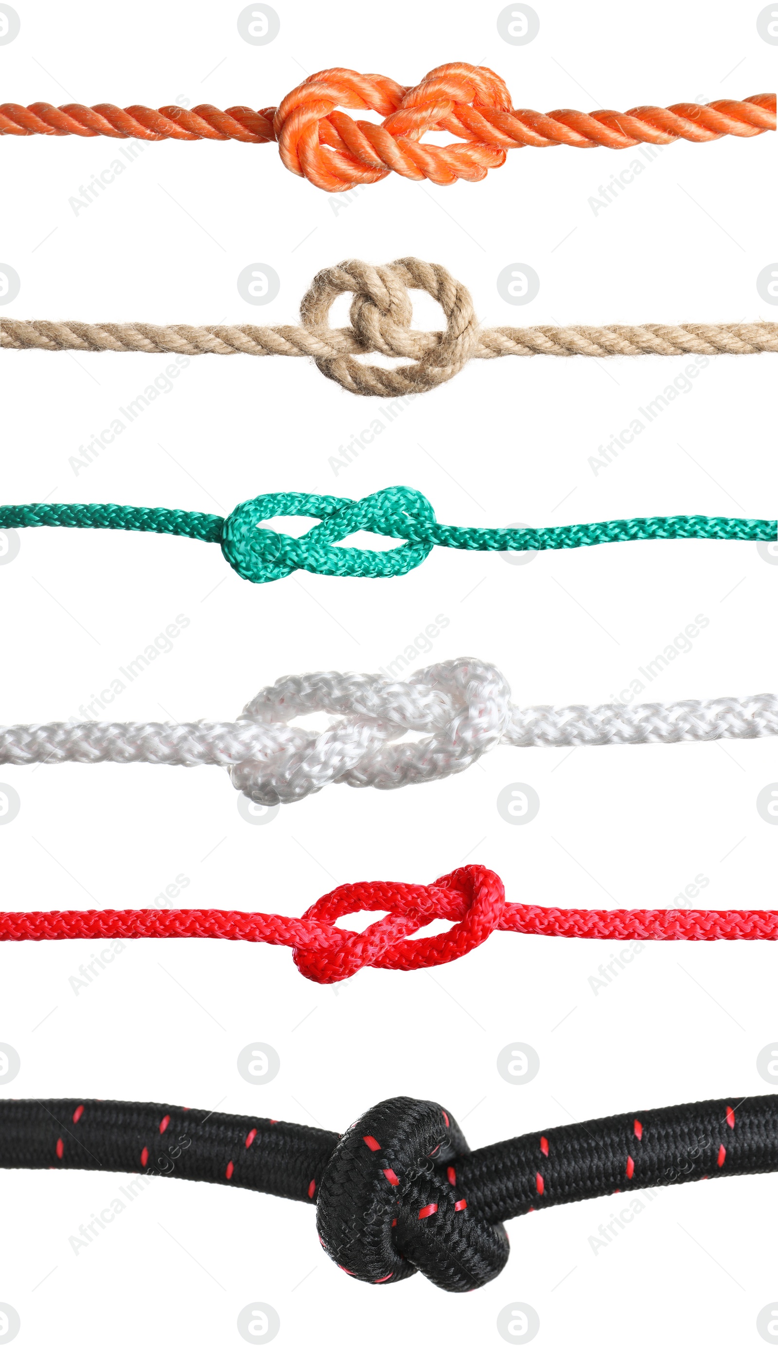 Image of Set of different ropes with knots on white background