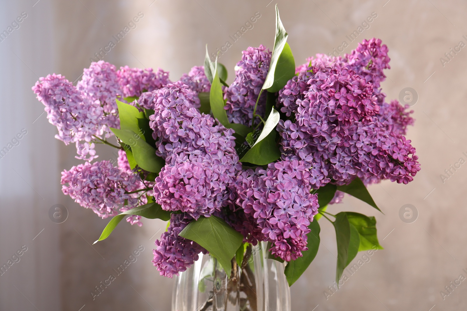 Photo of Beautiful lilac flowers in vase against blurred background