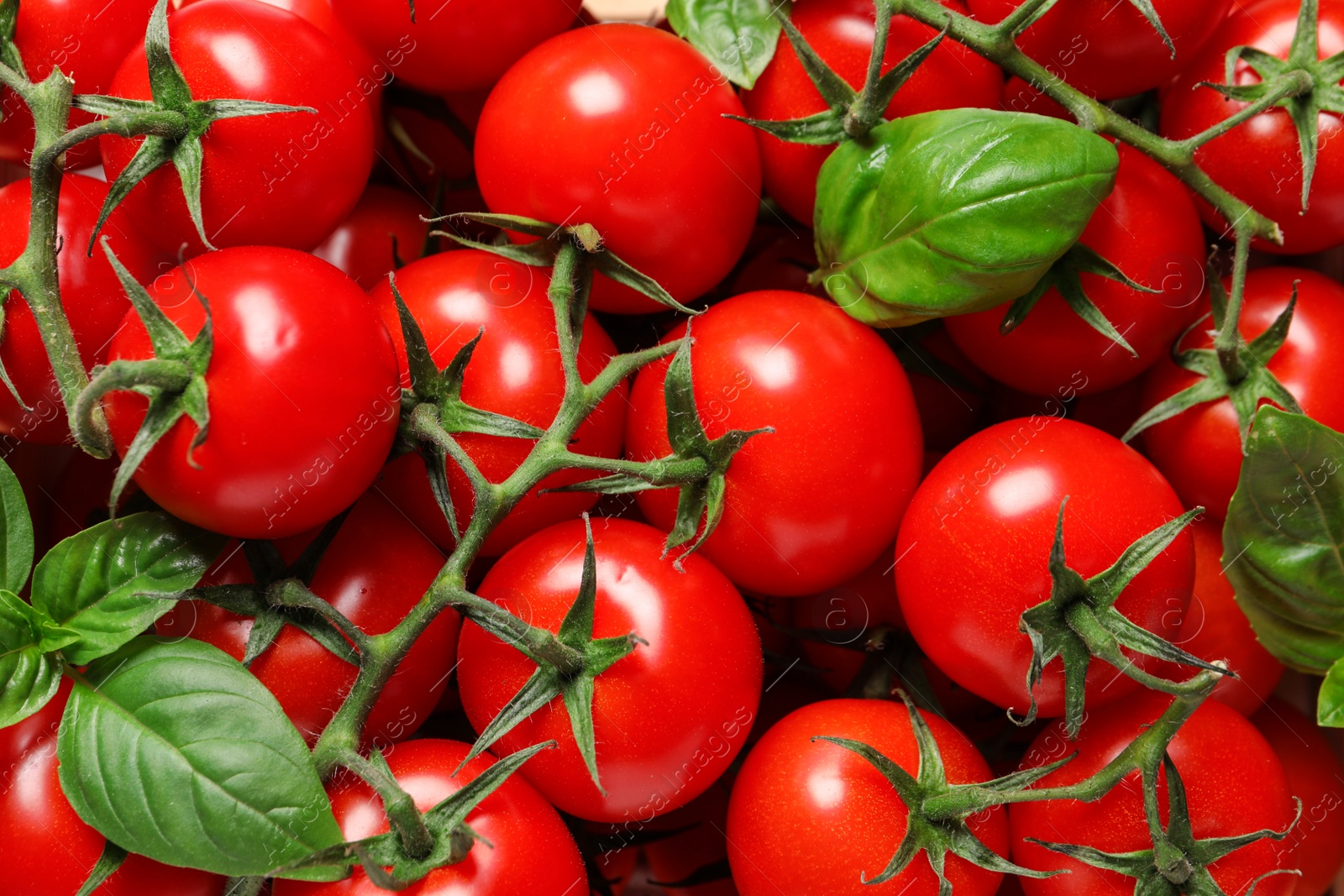 Photo of Fresh organic cherry tomatoes as background, closeup