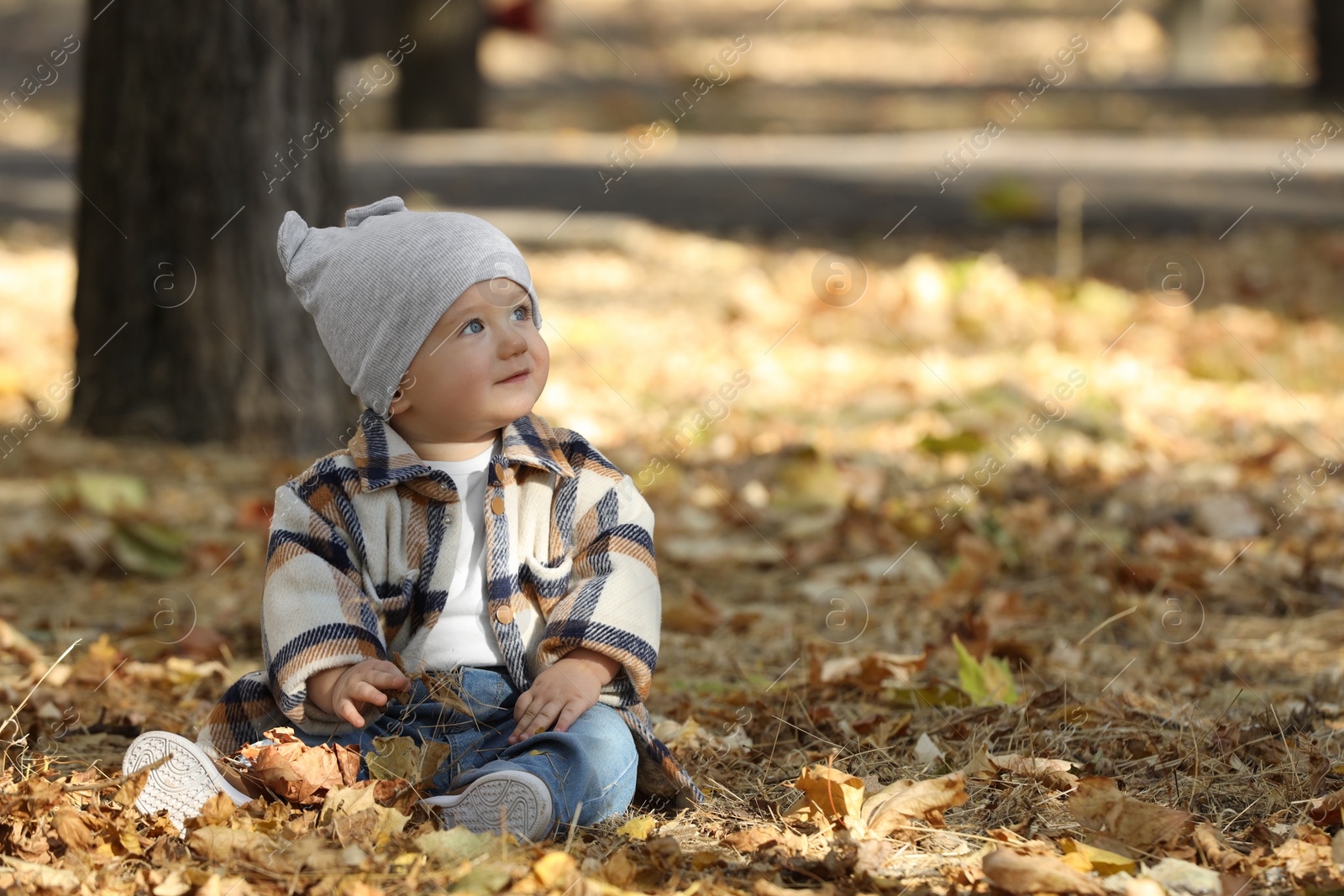 Photo of Cute little child on ground with dry leaves in autumn park, space for text