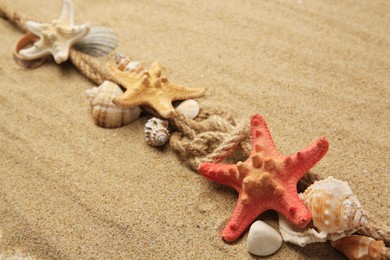 Photo of Beautiful sea stars, shells and ropes on sand