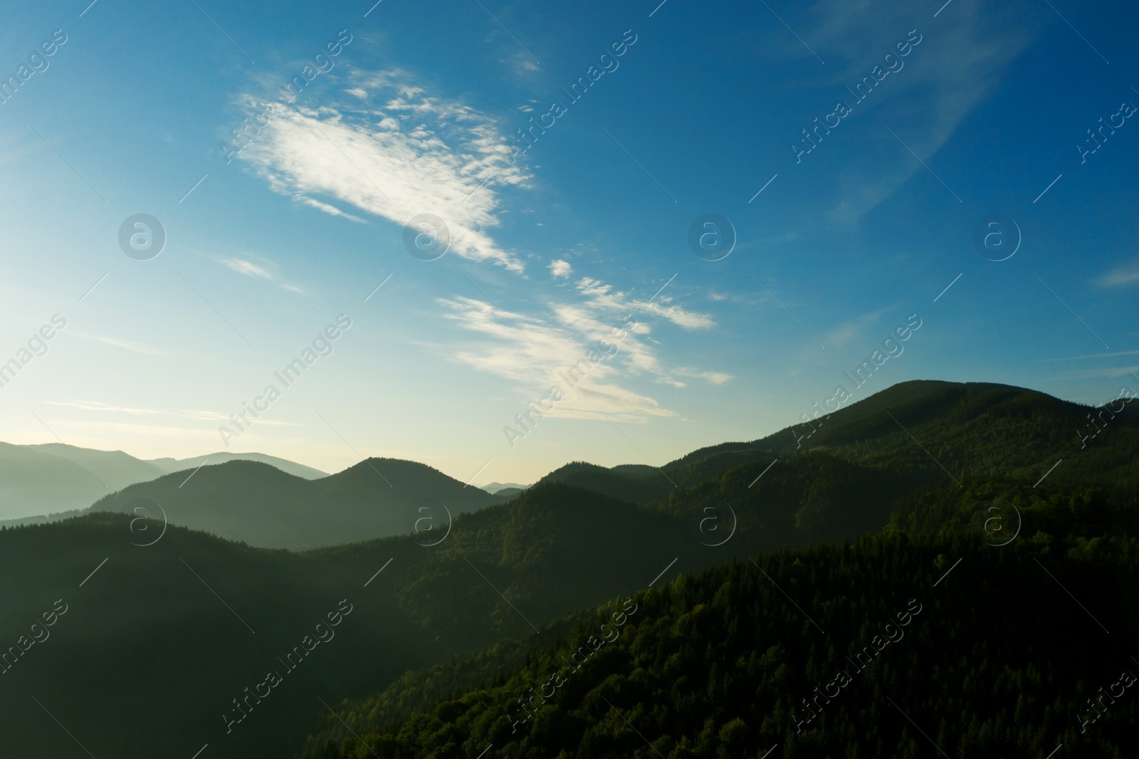 Image of Beautiful mountain landscape with green forest on sunny day. Drone photography