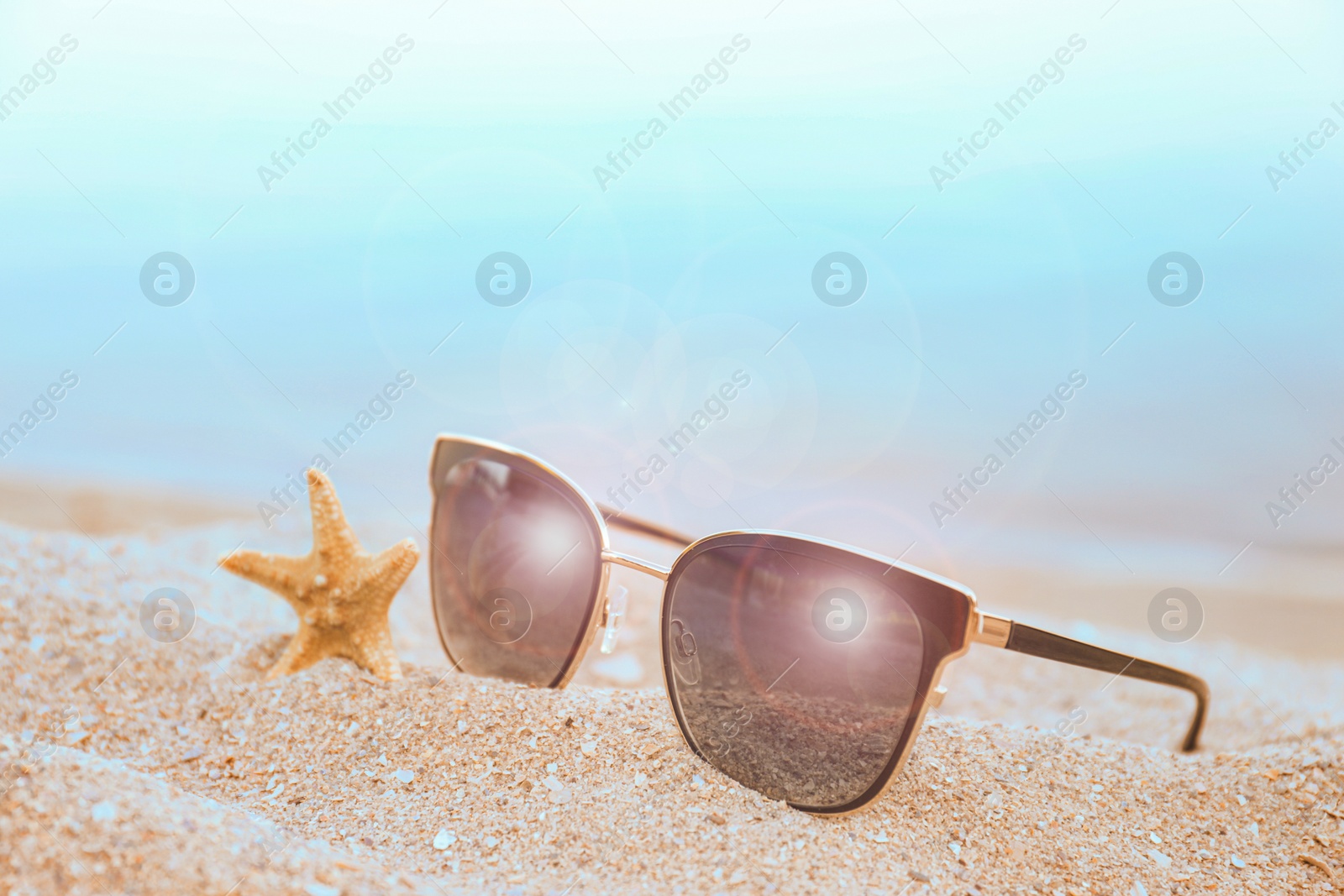 Photo of Stylish sunglasses and starfish on sandy beach