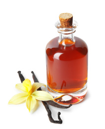 Photo of Vanilla extract, flower and dry pods isolated on white